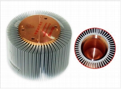 OEM ODM High Power Sunflower Al LED Heat Sink