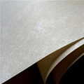 Aramid Insulation Paper 1