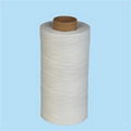 Bust Filament EPTFE Yarn With PTFE