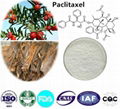 Paclitaxel