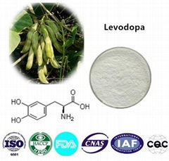 Levodopa