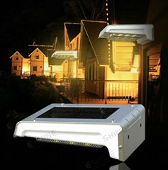 Solar Motion Light With AAA Removable Battery