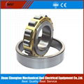 cylindrical roller bearing 1