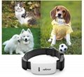 TKSTAR Quad-band Pets GSM / GPRS / GPS Strap Tracker for Cats Dogs