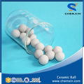 Support media 23% inert ceramic ball for petroleum chemical industries 4