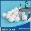 Support media 99% inert ceramic ball for petroleum chemical industries 2