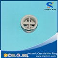 Ceramic random packing for drying columns scrubbing tower cooling tower  2