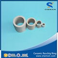 Ceramic random packing for drying columns scrubbing tower cooling tower  5