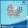 Ceramic random packing for drying columns scrubbing tower cooling tower  1