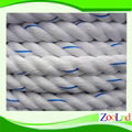 PP  TWISTER ROPE 5