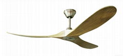 DC Slider ceiling fan 