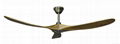 DC Slider ceiling fan  2