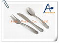 Disposable plastic sliver cutlery 1