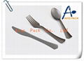 Disposable plastic sliver cutlery 2