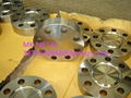 Gr1 /Gr5 Titanium Forging Flange 1