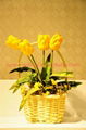 wicker new style flower basket with handle 1