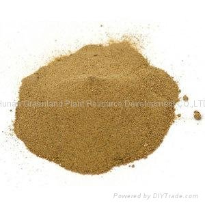 Natural Devils Claw Root Extract 2