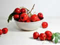 Factory supply Natural Hawthorn Berry