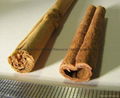 Factory supply high quality natural Cinnamon Bark Extract 10%-30% 2