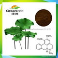 China Factory Sell Lotus Leaf Extract
