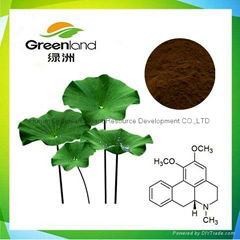 China Factory Sell Lotus Leaf Extract 2%-98% Nuciferine