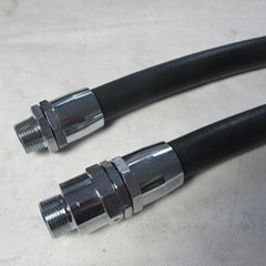 Gasoline Hose