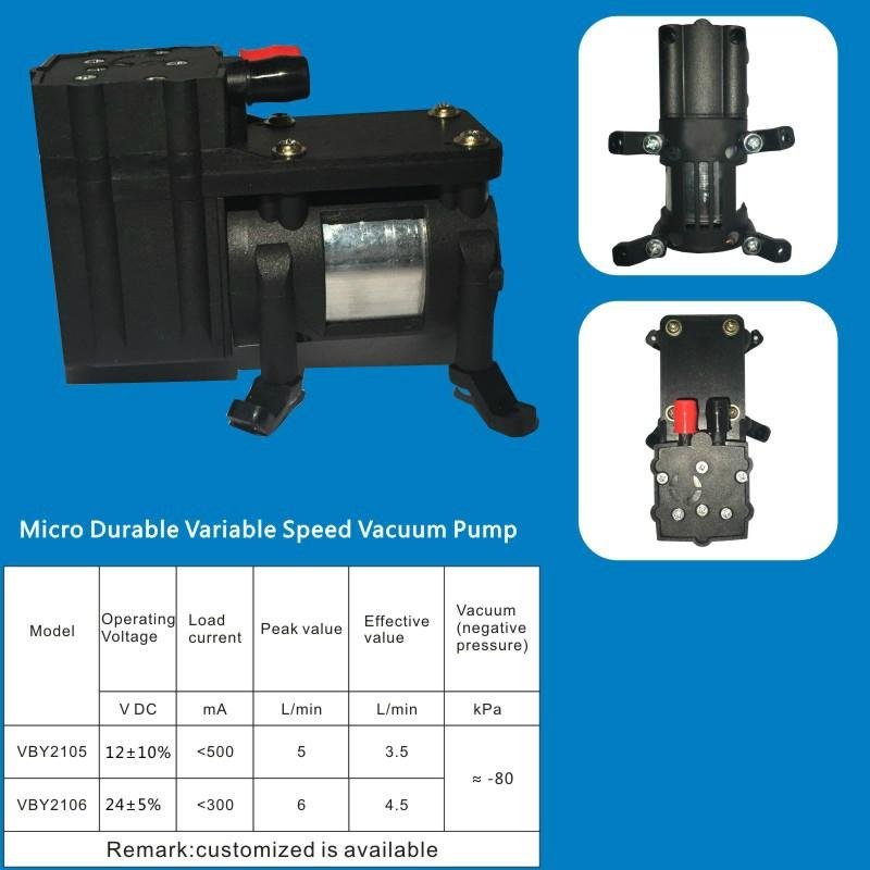 Micro Durable Variable Speed Vacuum Pump