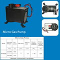 Micro Gas Pump 1