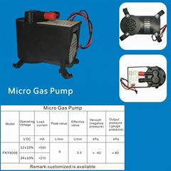 Micro Gas Pump