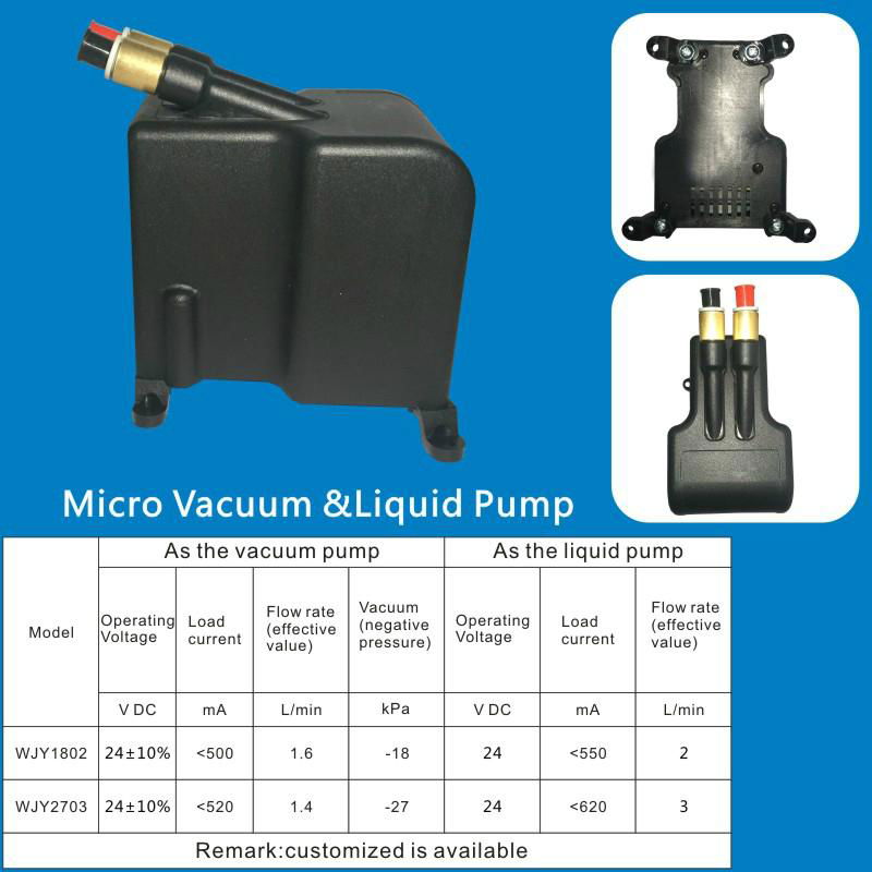 Micro Vacuum &Liquid Pump