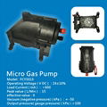 Micro Gas Pump 1