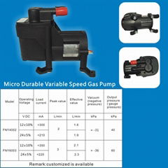 Micro Durable Variable Speed Gas Pump