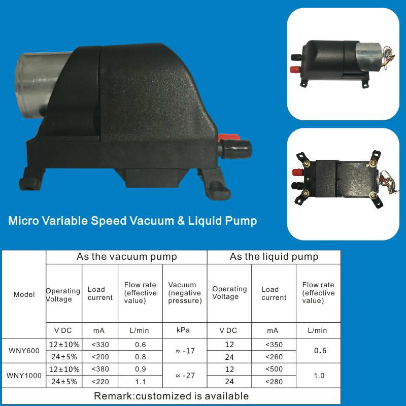Micro Variable Speed Vacuum & Liquid Pump 