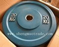 olympic barbell plate  3