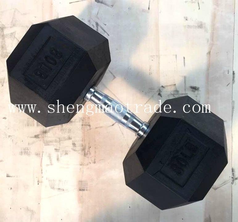 colourful hex rubber dumbbell  2