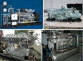 Perkins gas generator set Perkins gas