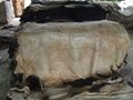Dry and Wet Salted Donkey and Cattle Hides