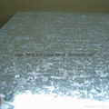 Large spangle galvanized steel sheet 1