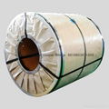 pre-painted galvanized steel coil 1