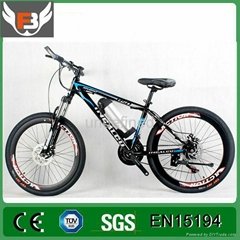 26 Inch 250W Cheap Electric Mountain Bicycle