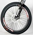 26 Inch 250W Cheap Electric Mountain Bicycle 5