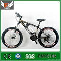 Popular Electric Bicycle Made in China 1