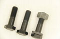 Handan DELI steel structutre bolt nuts & screws 2