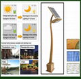 Hot seller LED solar garden light  5