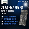 A-59P 多功能语音处理模组：语音交互的全能解决方案