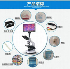 Guangzhou Rui Chi Equipment Co., Ltd.