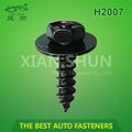 Bumper Screw Metal Auto Fastener Auto Clip