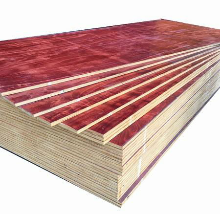 XHY 18mm Construction Plywood poplar core Pine and film faced can used as Buildi