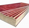 XHY 18mm Construction Plywood poplar core Pine and film faced can used as Buildi