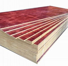 XHY 18mm Construction Plywood poplar